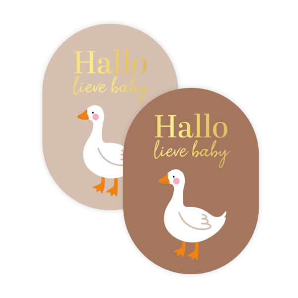 Sticker | Hallo lieve baby - goose